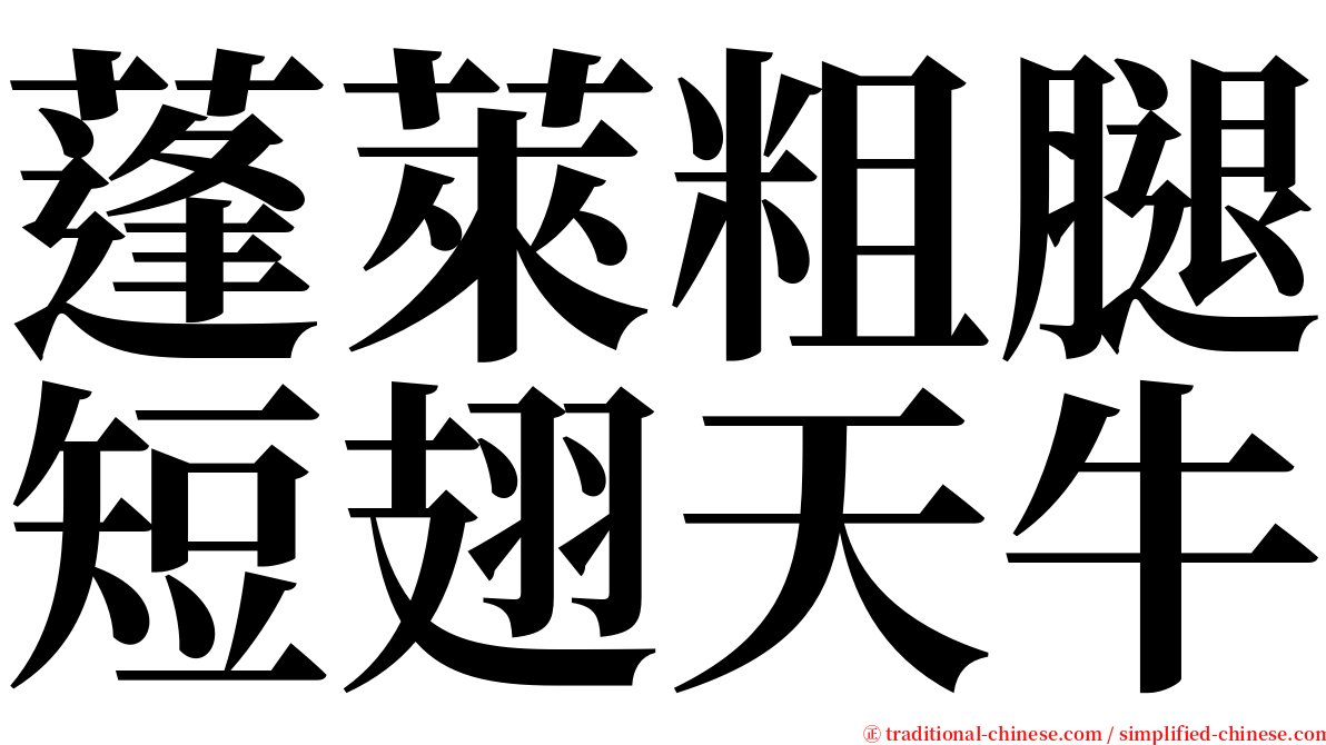 蓬萊粗腿短翅天牛 serif font