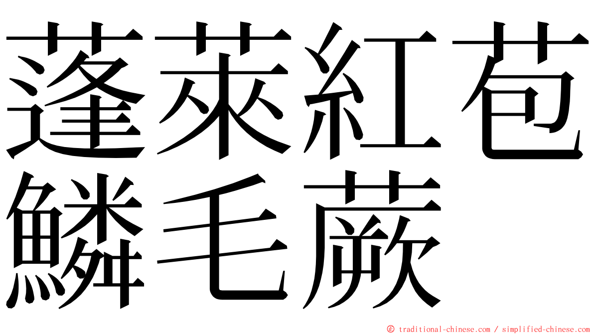 蓬萊紅苞鱗毛蕨 ming font