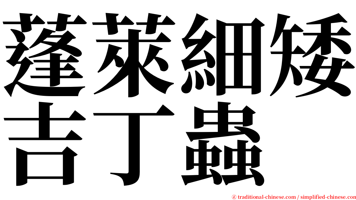 蓬萊細矮吉丁蟲 serif font