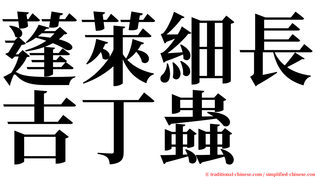 蓬萊細長吉丁蟲 serif font