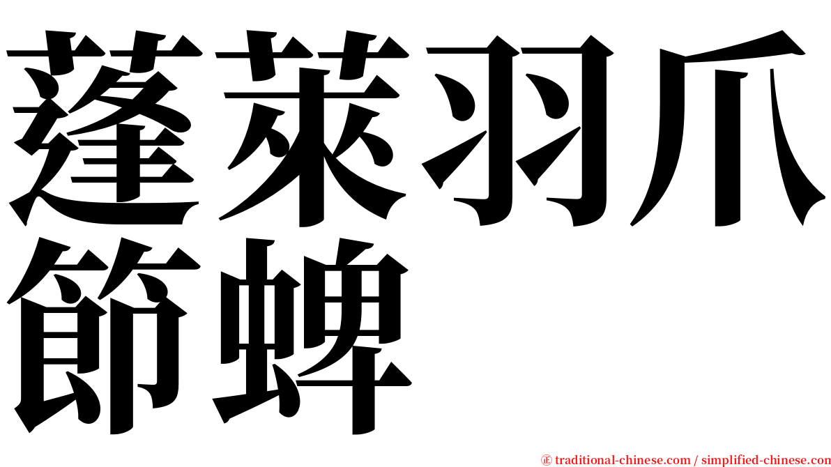 蓬萊羽爪節蜱 serif font