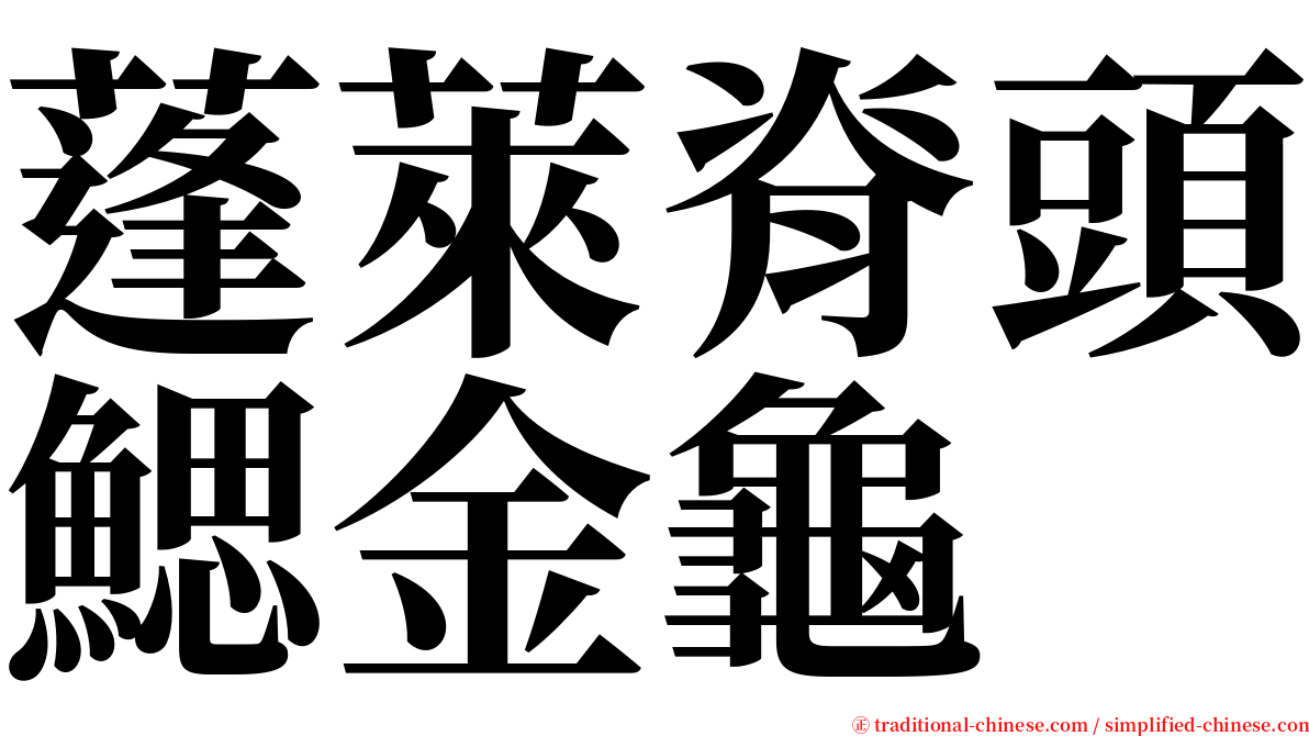 蓬萊脊頭鰓金龜 serif font