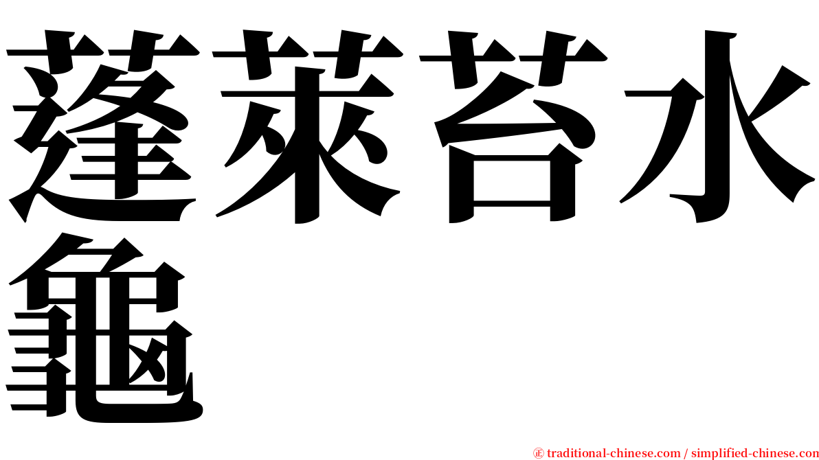 蓬萊苔水龜 serif font