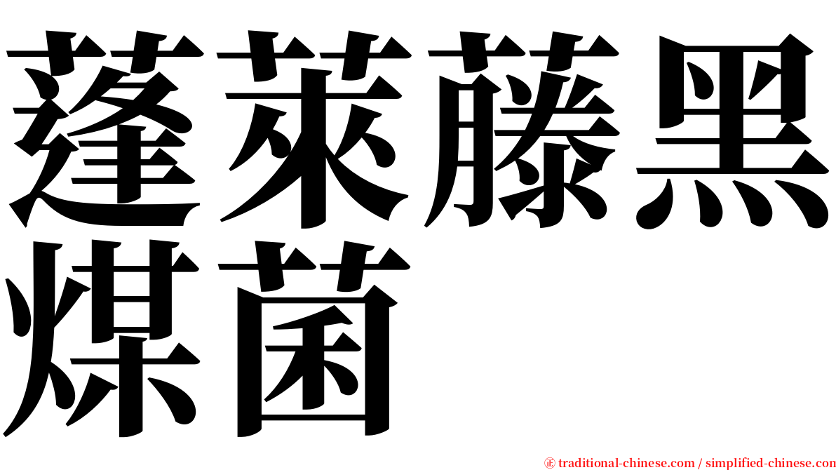 蓬萊藤黑煤菌 serif font