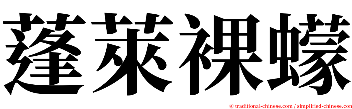 蓬萊裸蠓 serif font