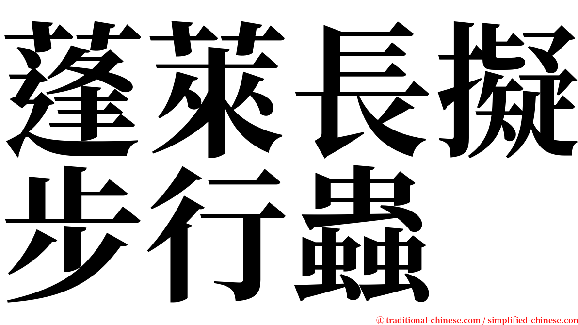 蓬萊長擬步行蟲 serif font