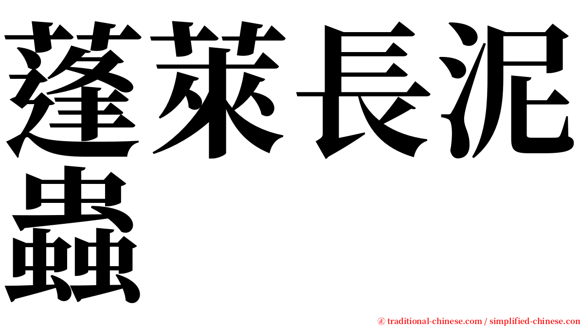 蓬萊長泥蟲 serif font