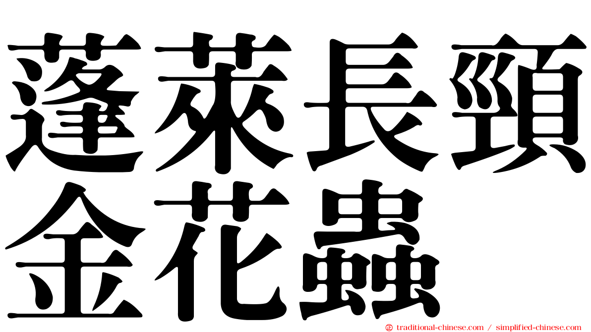 蓬萊長頸金花蟲