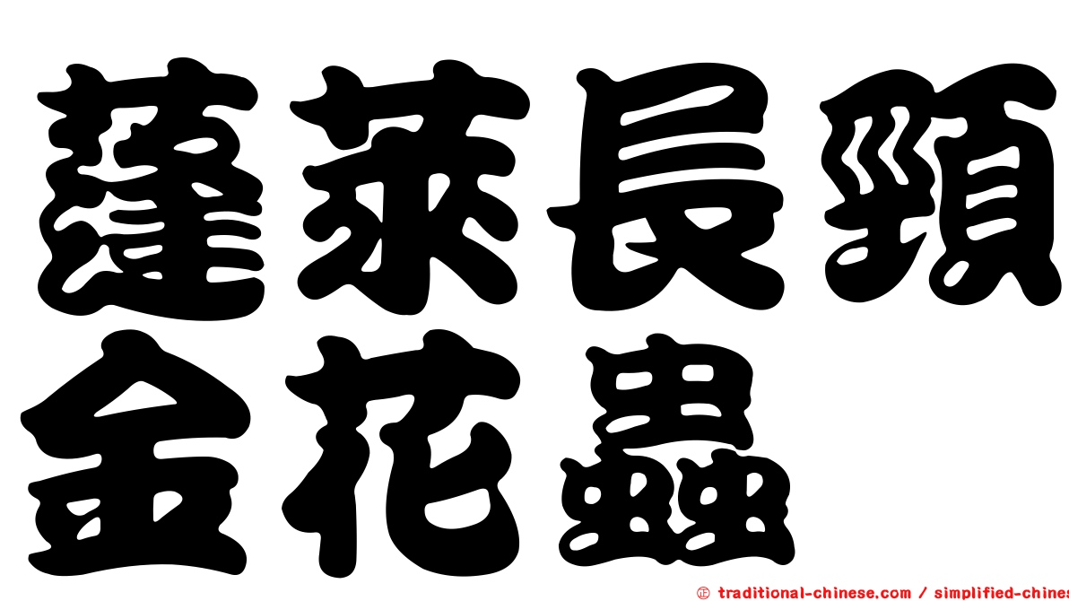 蓬萊長頸金花蟲