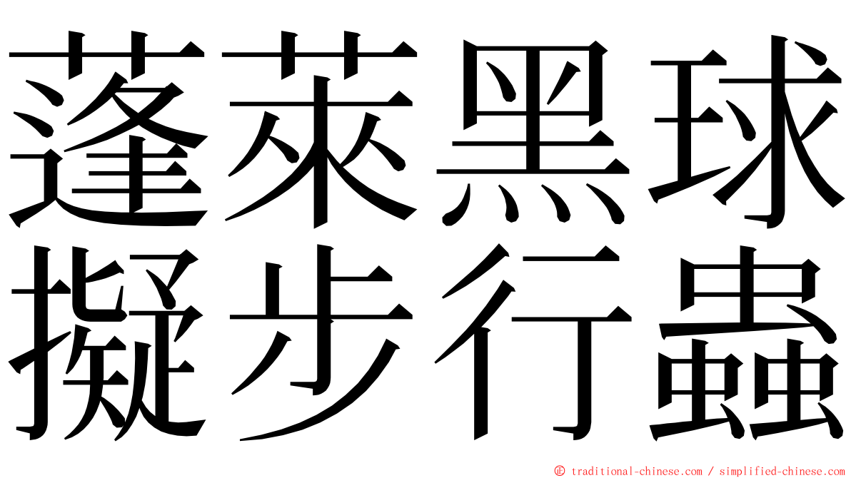 蓬萊黑球擬步行蟲 ming font