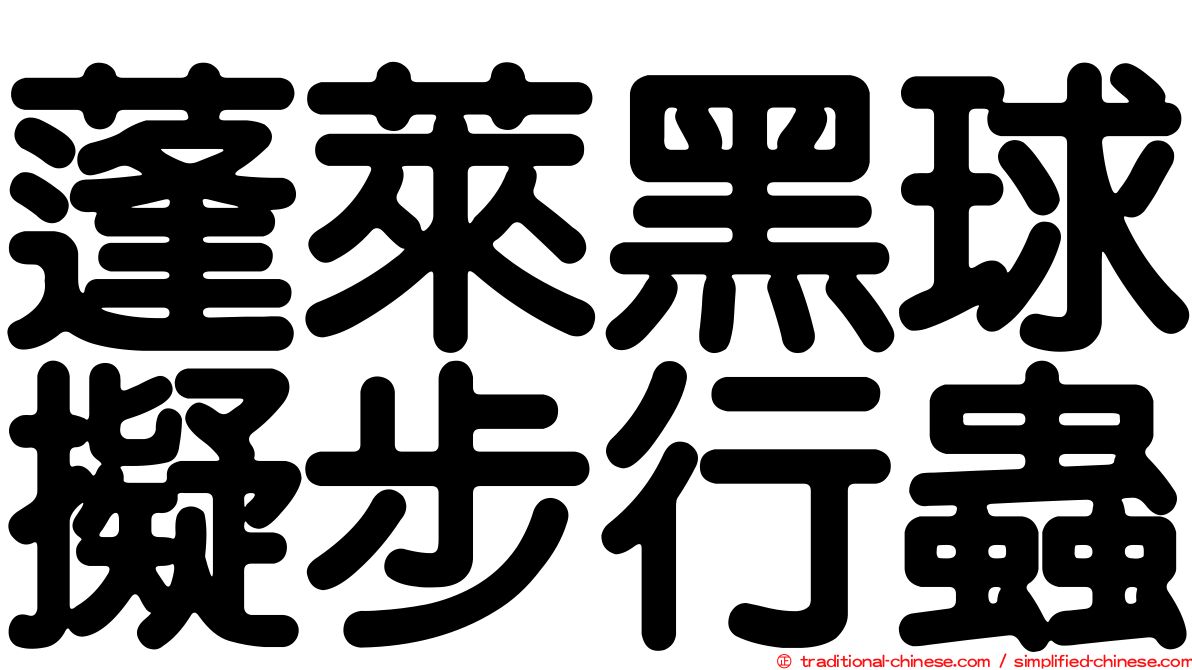 蓬萊黑球擬步行蟲