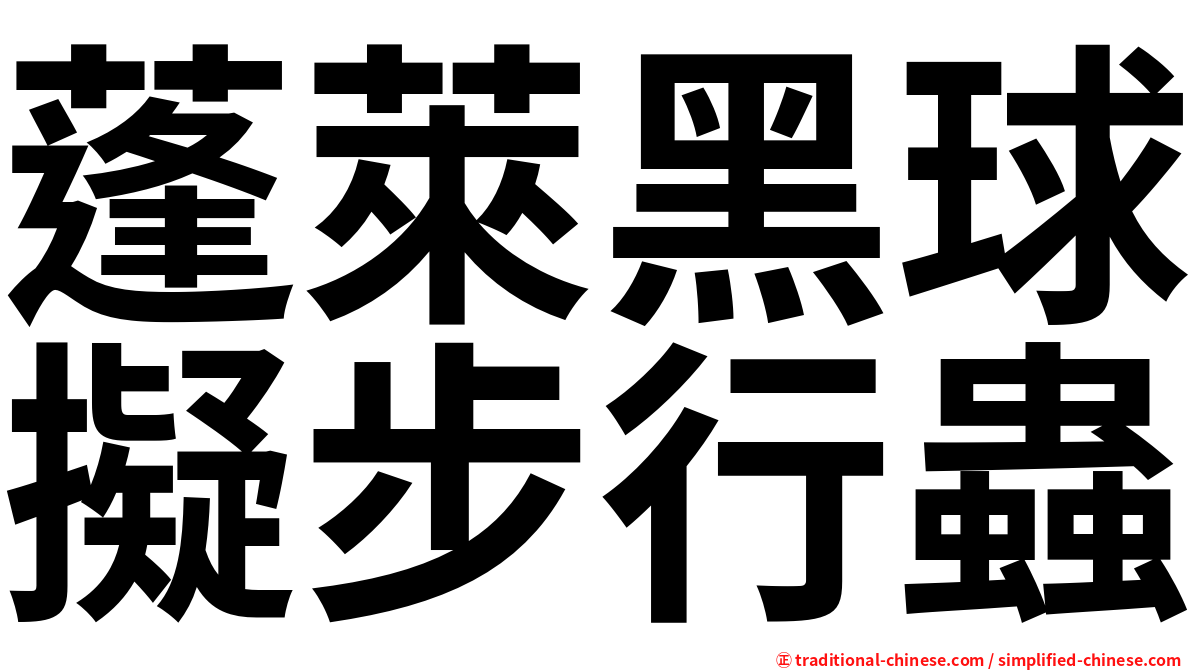 蓬萊黑球擬步行蟲