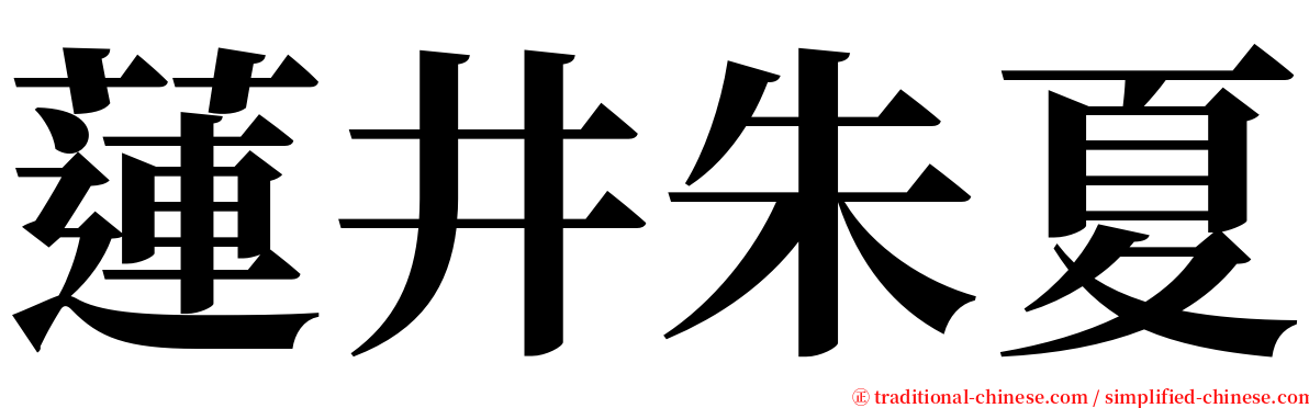 蓮井朱夏 serif font