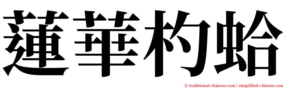 蓮華杓蛤 serif font