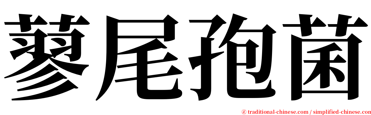 蓼尾孢菌 serif font