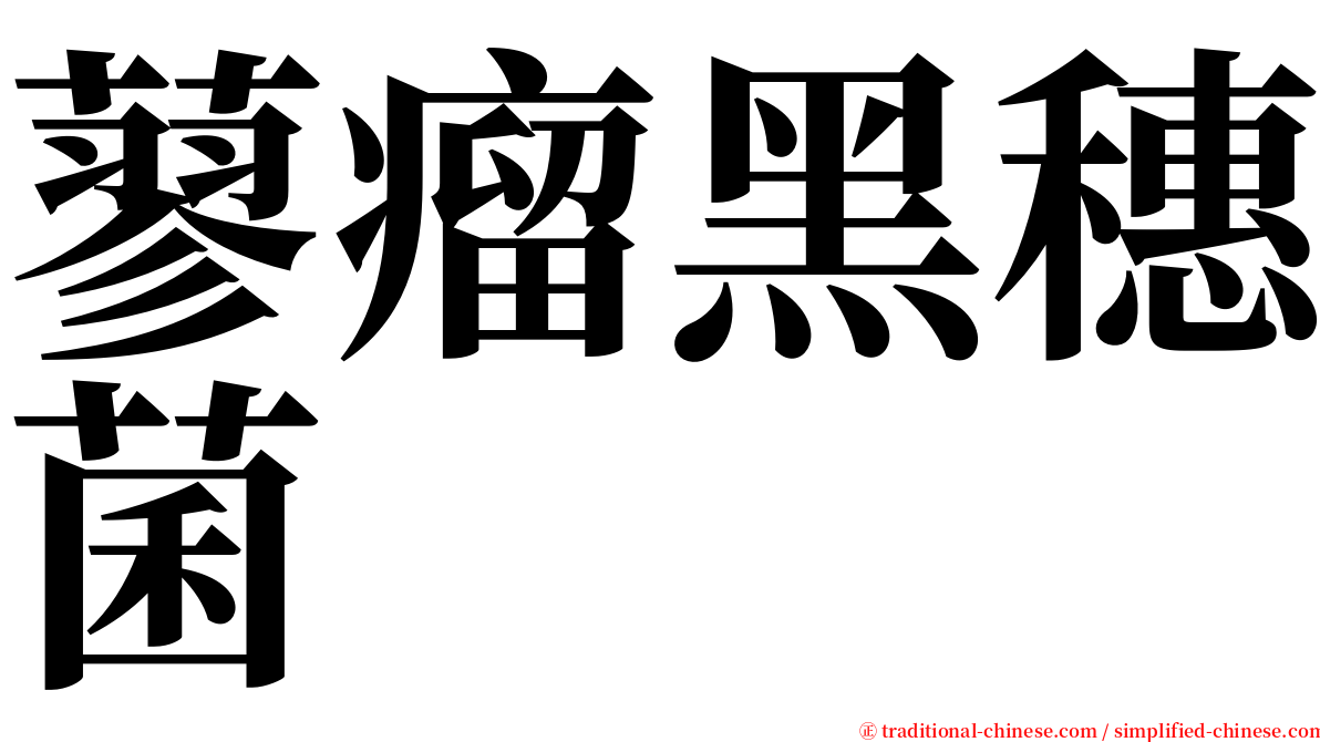 蓼瘤黑穗菌 serif font