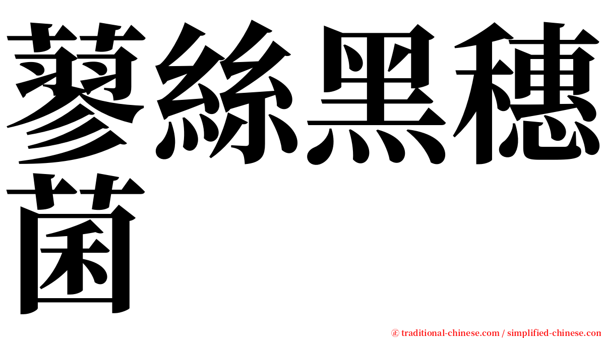 蓼絲黑穗菌 serif font