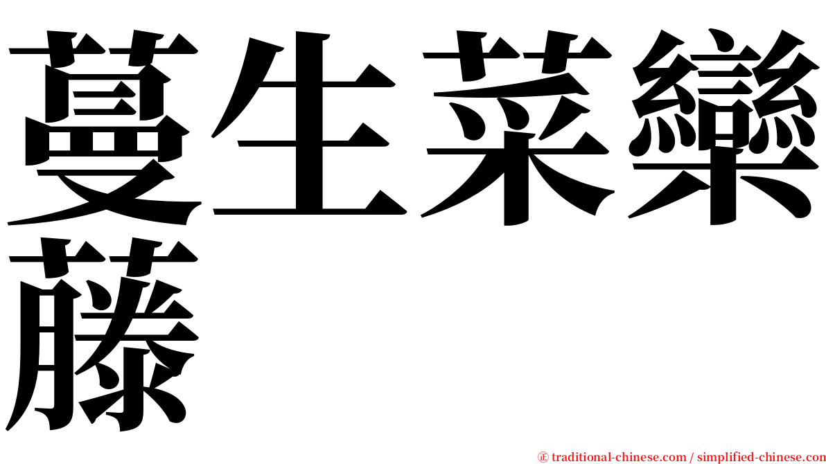 蔓生菜欒藤 serif font