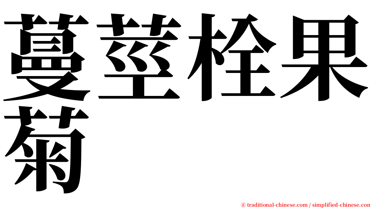 蔓莖栓果菊 serif font