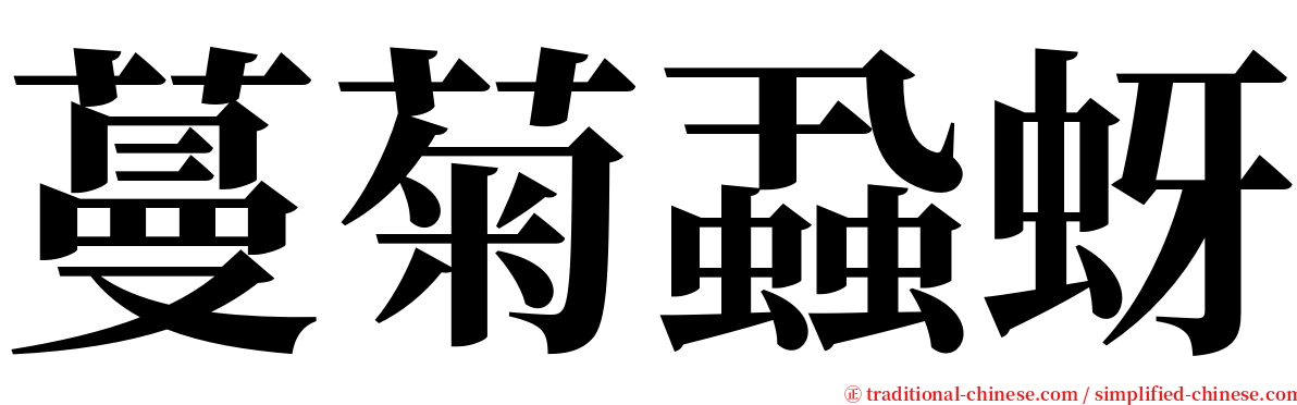 蔓菊蝨蚜 serif font