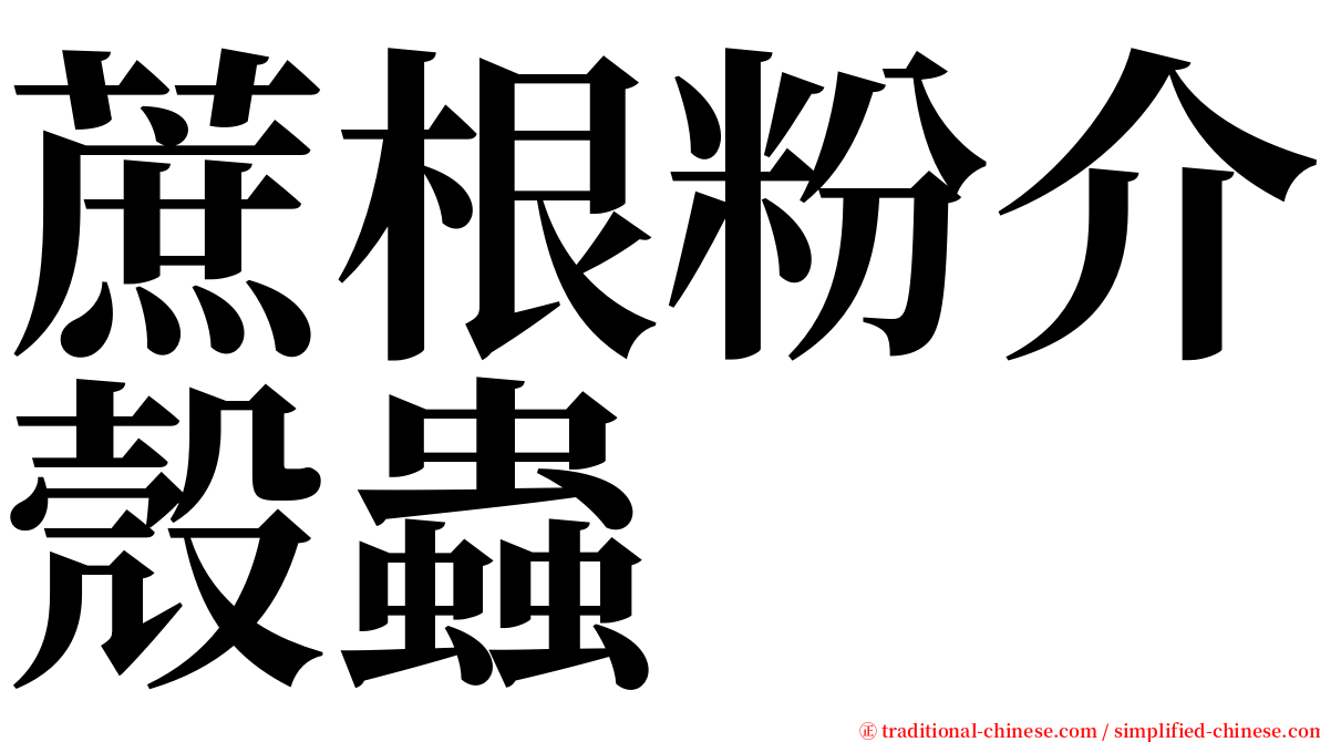 蔗根粉介殼蟲 serif font