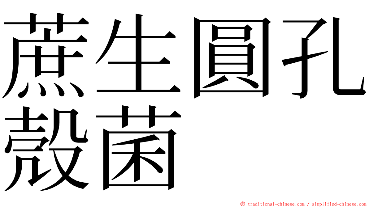 蔗生圓孔殼菌 ming font