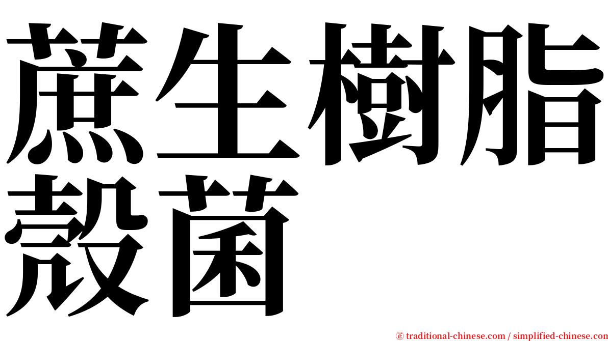 蔗生樹脂殼菌 serif font