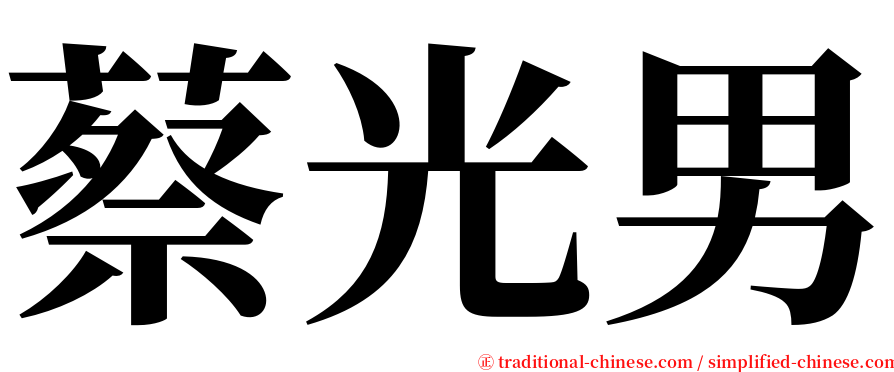 蔡光男 serif font