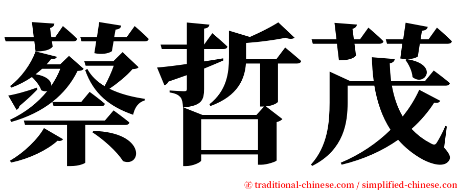 蔡哲茂 serif font