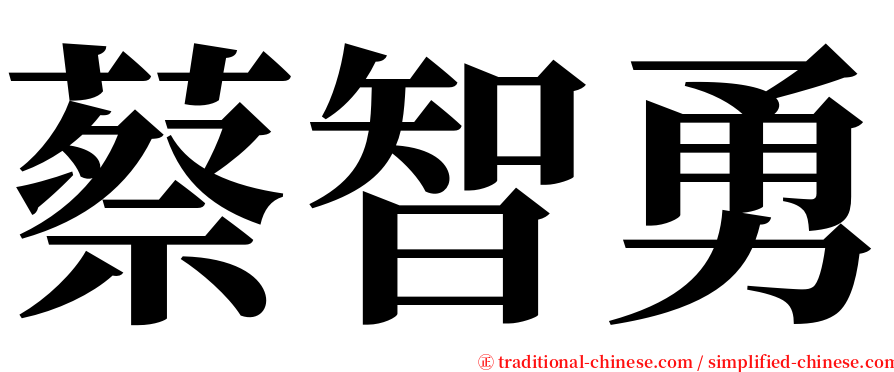 蔡智勇 serif font