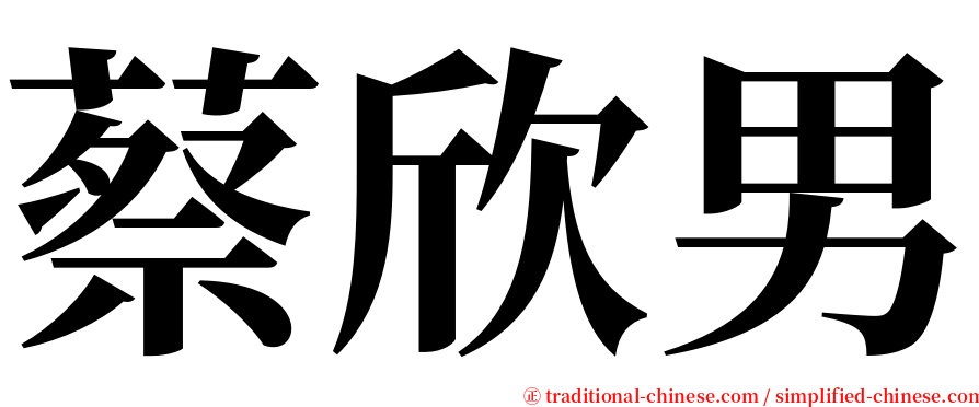 蔡欣男 serif font