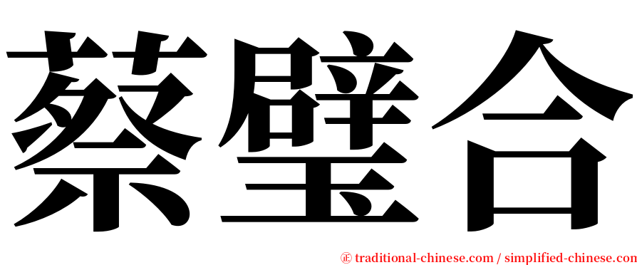 蔡璧合 serif font