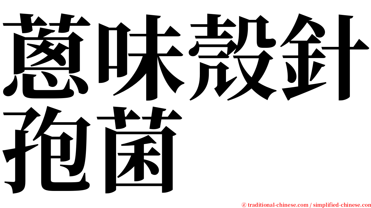 蔥味殼針孢菌 serif font