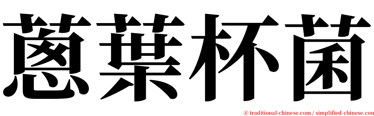 蔥葉杯菌 serif font