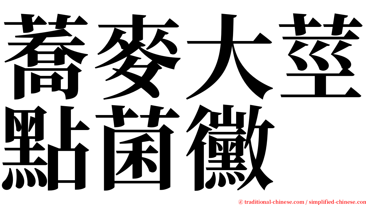 蕎麥大莖點菌黴 serif font