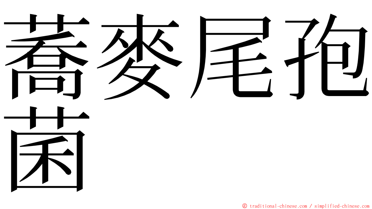 蕎麥尾孢菌 ming font