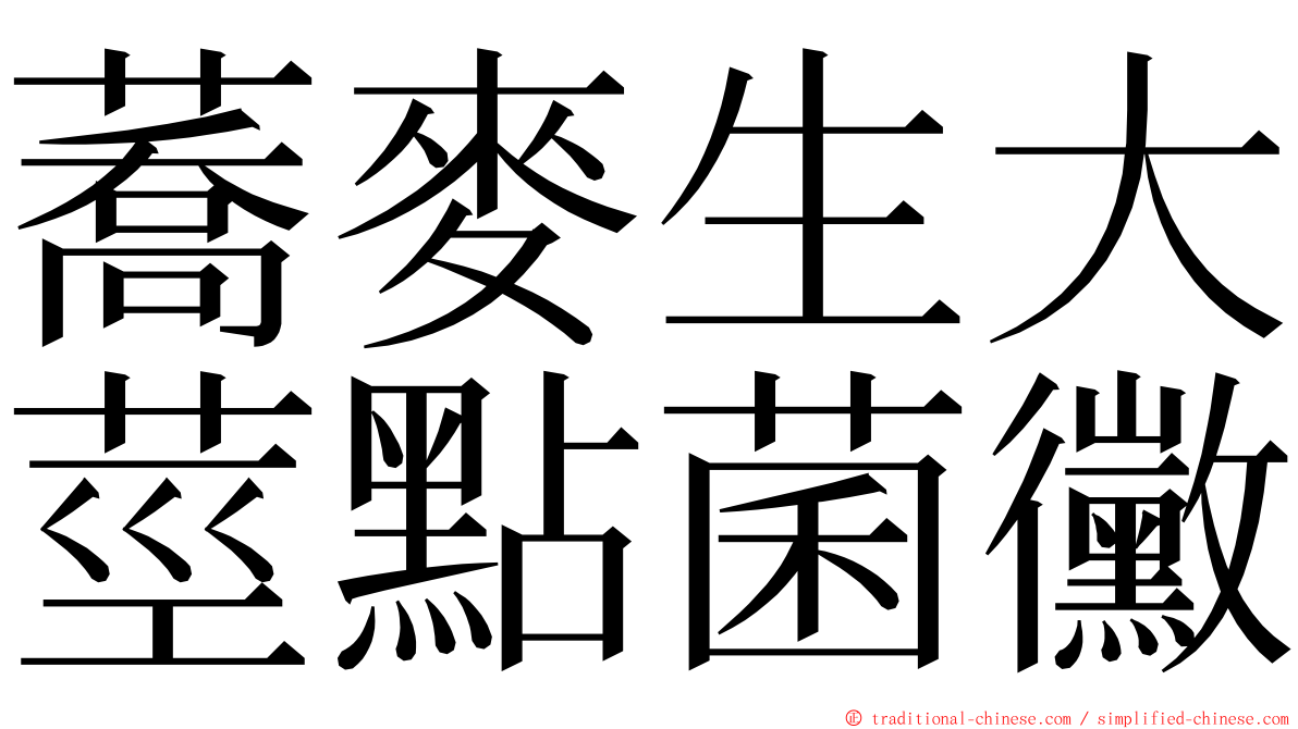 蕎麥生大莖點菌黴 ming font