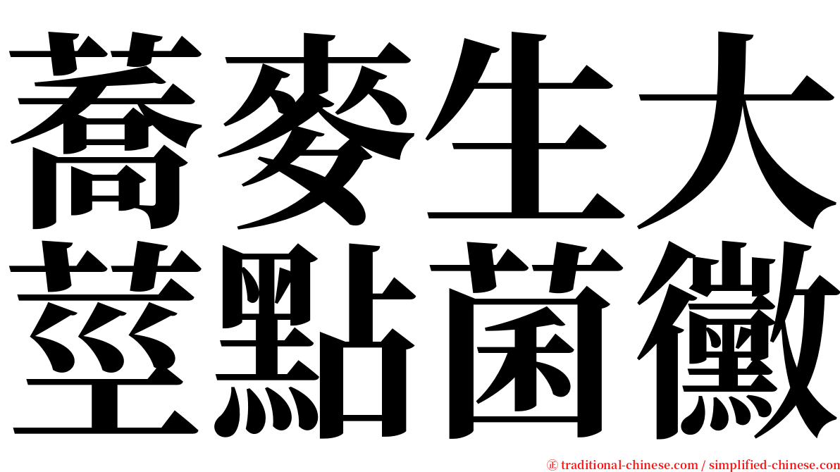 蕎麥生大莖點菌黴 serif font