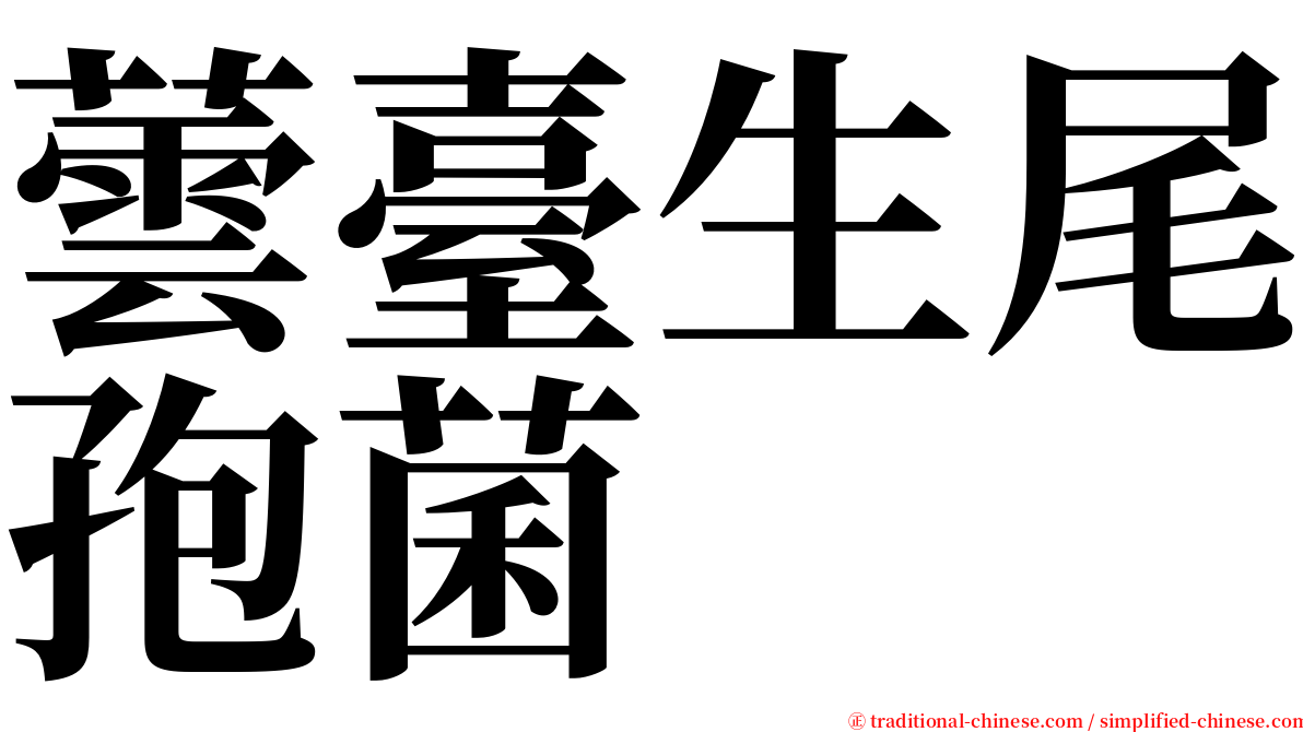 蕓臺生尾孢菌 serif font