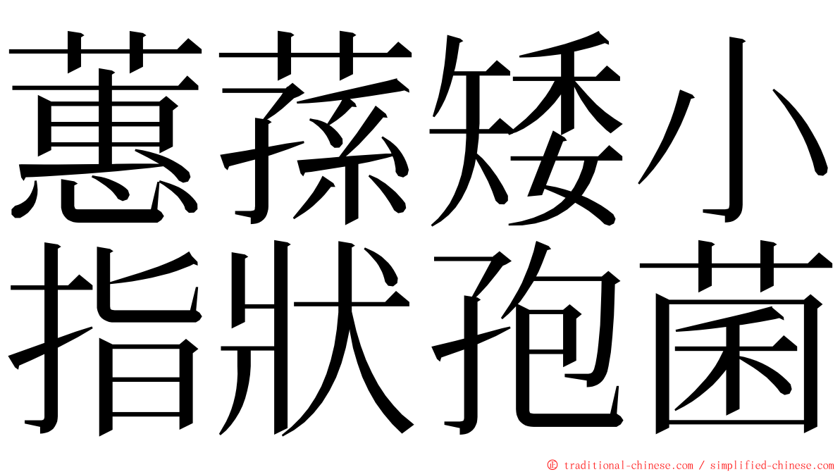 蕙蓀矮小指狀孢菌 ming font