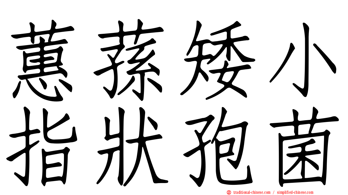 蕙蓀矮小指狀孢菌