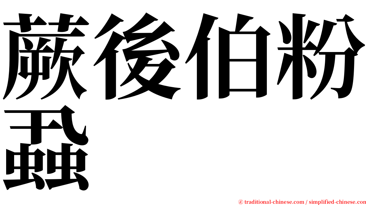 蕨後伯粉蝨 serif font