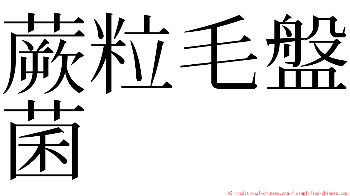 蕨粒毛盤菌 ming font