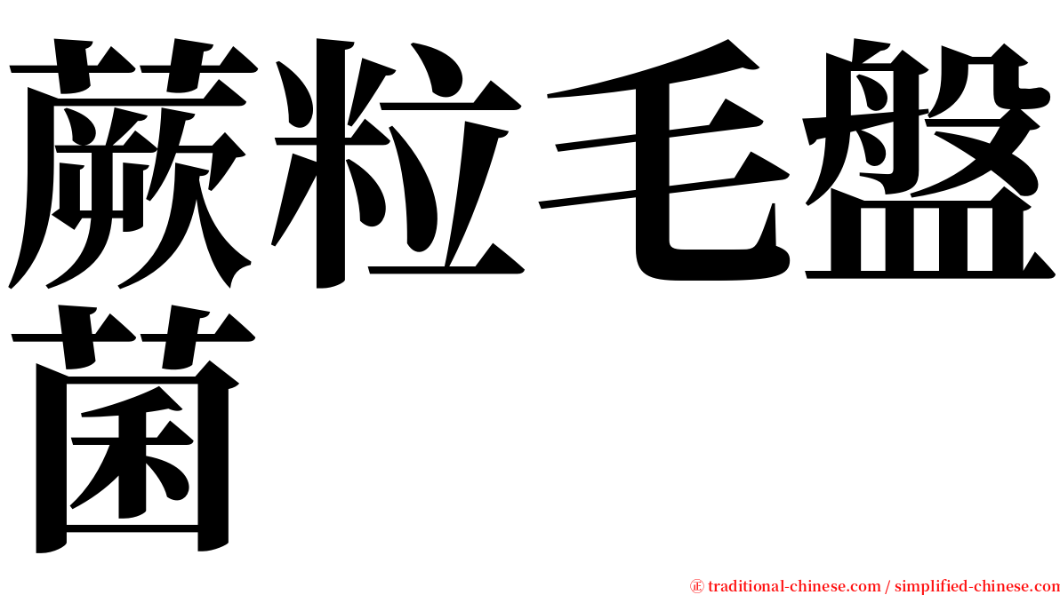 蕨粒毛盤菌 serif font