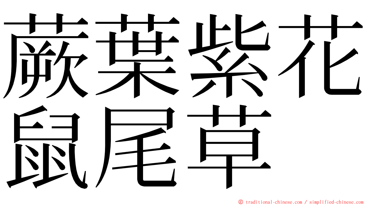 蕨葉紫花鼠尾草 ming font