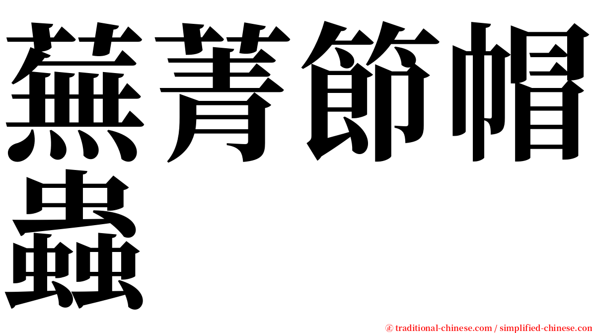 蕪菁節帽蟲 serif font