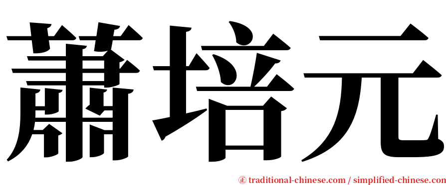 蕭培元 serif font