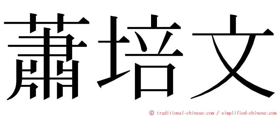 蕭培文 ming font