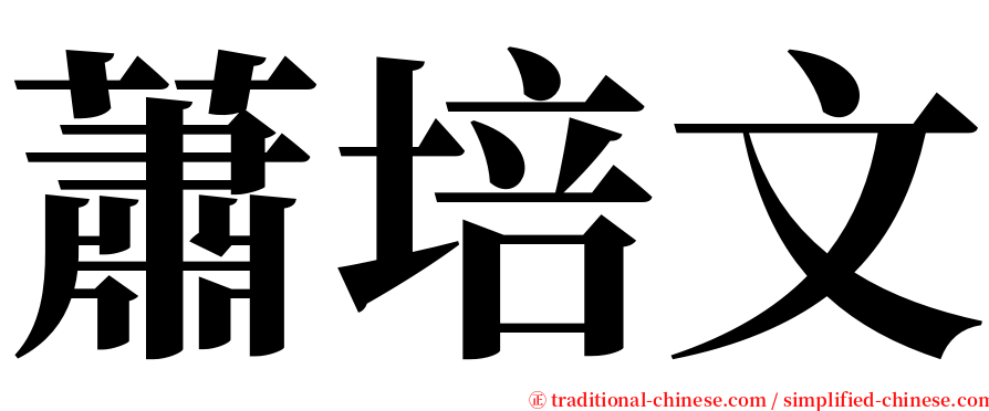 蕭培文 serif font