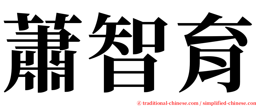 蕭智育 serif font